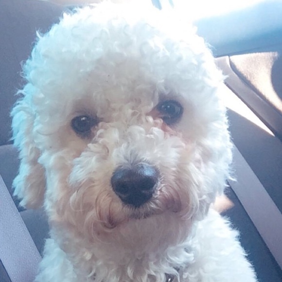 Meet your Posher, Hannah - Picture 1 of 1